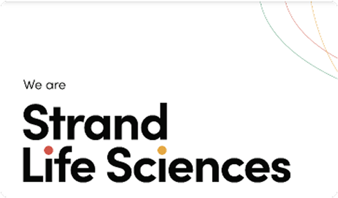Strand's Image